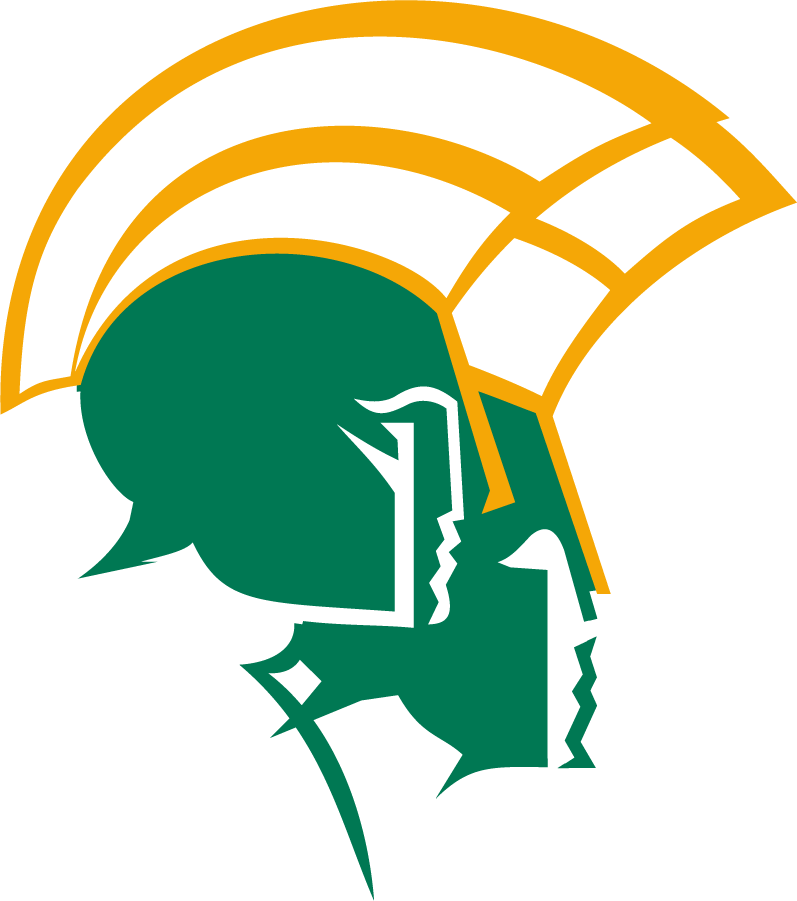 Norfolk State Spartans 1999-Pres Secondary Logo diy DTF decal sticker